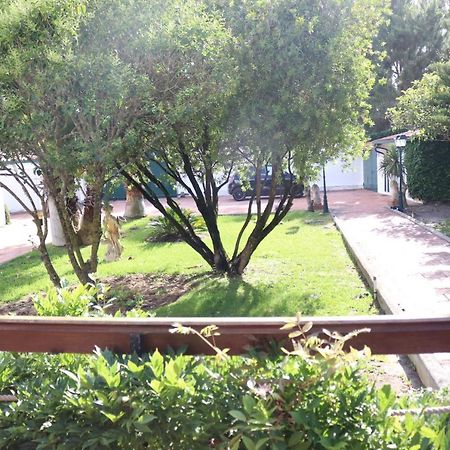 A Quinta Duna Salir de Porto Экстерьер фото