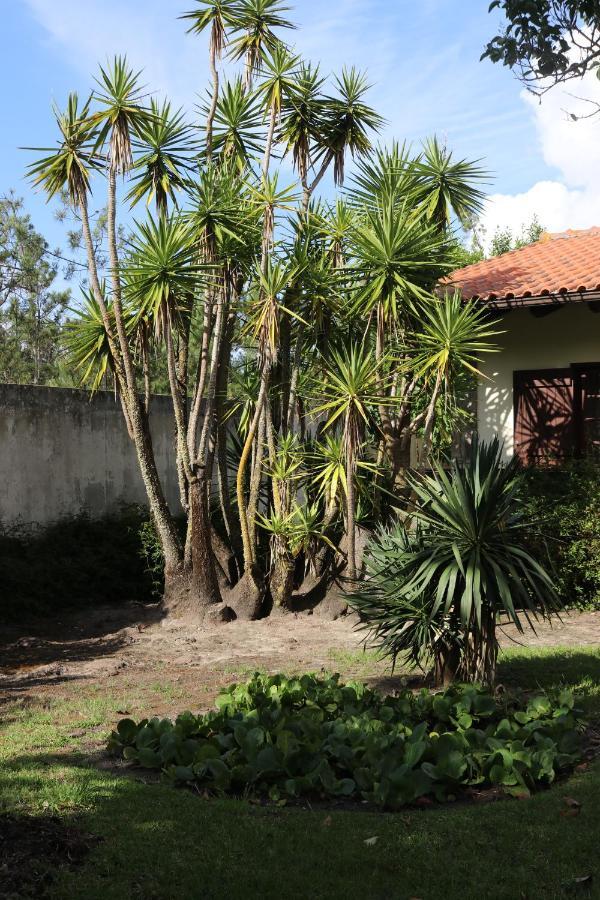 A Quinta Duna Salir de Porto Экстерьер фото